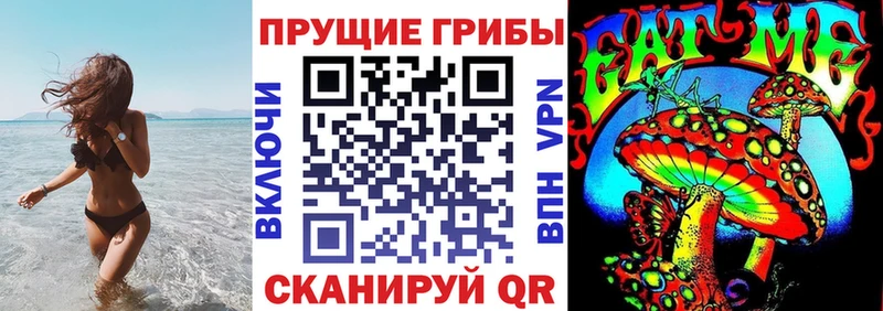 Купить где  Урай  Псилоцибиновые грибы Cubensis 